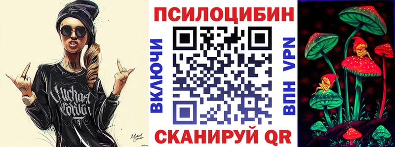 где можно купить наркотик  omg зеркало  Псилоцибиновые грибы мицелий  Мценск 